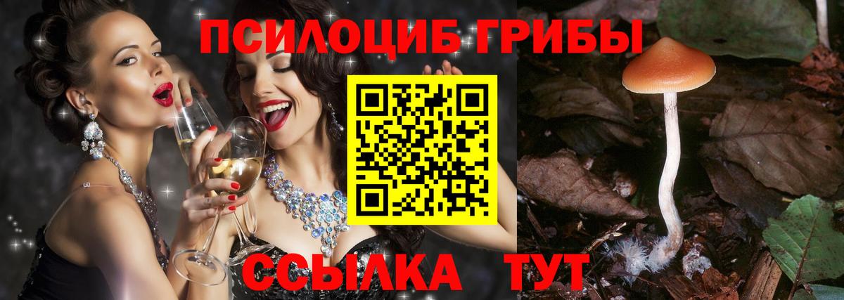 Псилоцибиновые грибы Psilocybe  Вход с VPN  Киреевск 